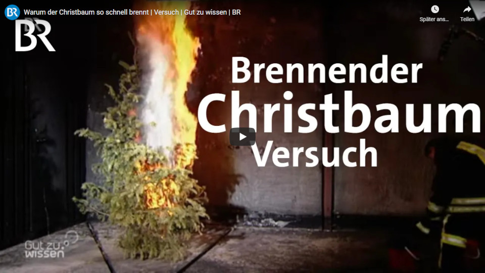 Warum der Christbaum so schnell brennt - Versuch