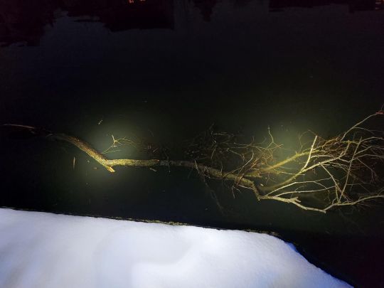 Technischer Hilfeleistungseinsatz